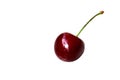 Single sweet cherry Royalty Free Stock Photo