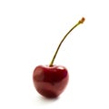 Single sweet cherry Royalty Free Stock Photo