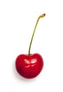 Single sweet cherry Royalty Free Stock Photo