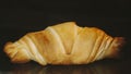 Single sweet croissant in oven
