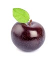 Single sweet plums Royalty Free Stock Photo