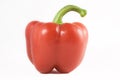 Single sweet red bell pepper