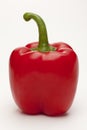 Single sweet red pepper