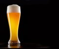 Single tall stylish glass of chilled frothy wheat beer Royalty Free Stock Photo