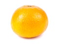 Single tangerine