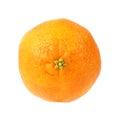 Single Tangerine