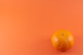 single tangerine or citrus fruit isolated orange background, healthy food or snack with vitamin c