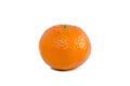 Single tangerine, mandarin