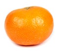 Single tangerine, mandarin on white background