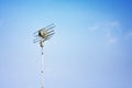 Single Telecoms mast in a rural blue sky landscapesingle Teleco