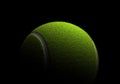 Single tennis ball Royalty Free Stock Photo