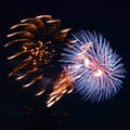 A single 4th of July firework Royalty Free Stock Photo