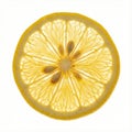 single, thin, perfect round lemon slice, showing its uniform shape and translucent quality Royalty Free Stock Photo