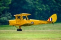 Single Tiger moth aircraft