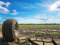 Abandoned Tire on Cracked Soil