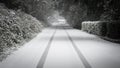 Single tire track on a quiet snowy rural road