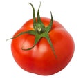 Single tomato Royalty Free Stock Photo