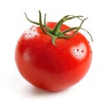 Single tomato isolated on white Royalty Free Stock Photo