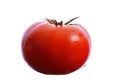 Single tomato isolated on white background Royalty Free Stock Photo