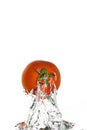 A single tomato jumping out of the water Royalty Free Stock Photo