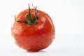 Single tomato with water droplets, close-up Royalty Free Stock Photo