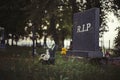 Single tombstone with RIP sign in old graveyard. Close up of gravestone in grass with flower and Rest in Peace text. Funeral