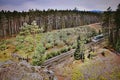 Single track number 080 with train leading mysterious pine forest in Machuv kraj region in czech republic