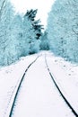 Single-track railway in the forest Royalty Free Stock Photo