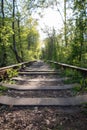 Single-track railway line in forest Royalty Free Stock Photo