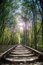 Single-track railway line in forest Royalty Free Stock Photo