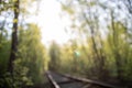 Single-track railway line in forest Royalty Free Stock Photo