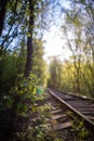 Single-track railway line in forest Royalty Free Stock Photo