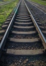 Single-track railway line in forest Royalty Free Stock Photo