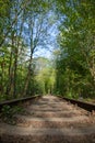 Single-track railway line in forest Royalty Free Stock Photo