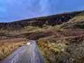 Single track road with lone sheep on the Isle of Raasay, Scotland