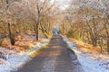 Single track road in winter.