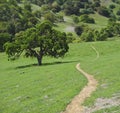 Single track trail