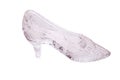 Single transparent crystal shoe