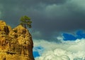 Lonely Tree on large rock against cloudy sky Royalty Free Stock Photo