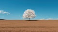 Single tree in a brown field under a blue sky Royalty Free Stock Photo