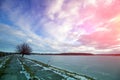 Single tree on a dam on a frozen lake. Winter landscape Royalty Free Stock Photo