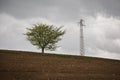 A single tree and electricity pylon, against grey cloudy sky Royalty Free Stock Photo