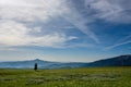 Single Tree in Field in Wyoming countryside Royalty Free Stock Photo