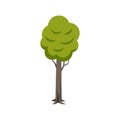 Tree Flat Icon