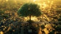 A single tree growing on a computer motherboard illuminated by warm sunlight, symbolizing technology and nature Royalty Free Stock Photo