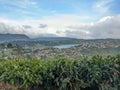 SINGLE TREE HILL NUWARA ELIYA Royalty Free Stock Photo