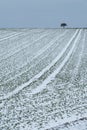 Single tree on horizon of snow dusted field