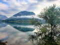 Single tree by a lake, light fog. Mountain background reflecting Royalty Free Stock Photo