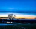 the tree by a pond at sunset over Macclesfield