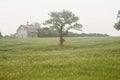 Single tree and old barn in open field on overcast day Royalty Free Stock Photo